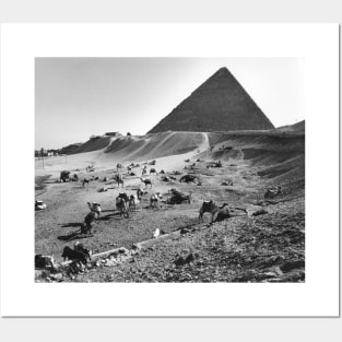 Camels Waiting in Front of Egyptian Pyramids Posters and Art